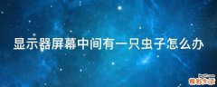显示器屏幕中间有一只虫子怎么办