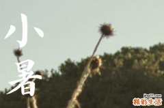 今天小暑是什么时候几点几分2023