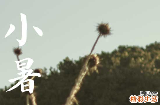 今天小暑是什么时候几点几分2023