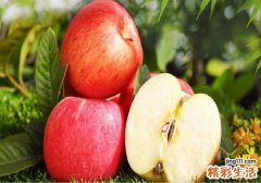 苹果可以煮着吃吗 坐月子可以吃煮苹果吗