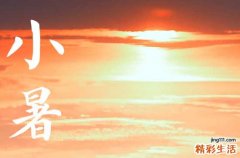 小暑节气，民间有吃“三宝＂的习俗