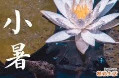 今日小暑几点几分,2023年小暑是几点几分