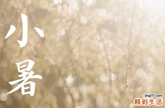今日小暑时间,