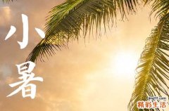 2023年小暑来了!一年中最热的时候才刚开始