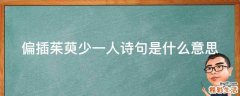 偏插茱萸少一人诗句是什么意思