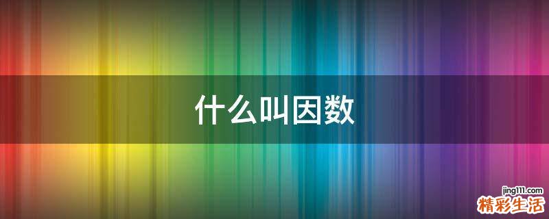 什么叫因数