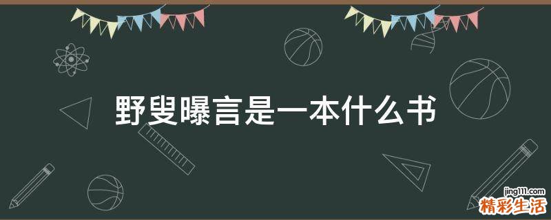 野叟曝言是一本什么书