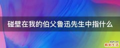 碰壁在我的伯父鲁迅先生中指什么