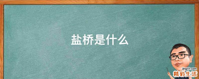 盐桥是什么