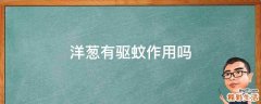 洋葱有驱蚊作用吗