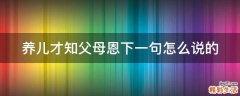 养儿才知父母恩下一句怎么说的
