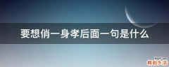 要想俏一身孝后面一句是什么