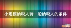 小规模纳税人转一般纳税人的条件