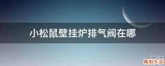 小松鼠壁挂炉排气阀在哪