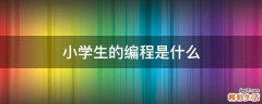 小学生的编程是什么