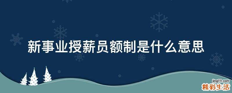新事业授薪员额制是什么意思