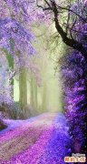 去屑吃什么好_菜肴赶走恼人的头屑