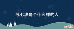 苏七块是个什么样的人