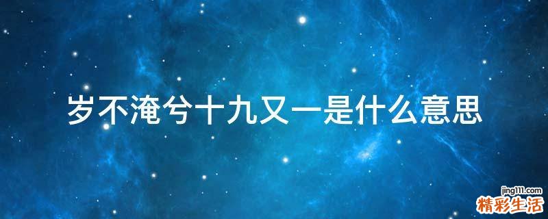 岁不淹兮十九又一是什么意思