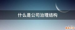 什么是公司治理结构