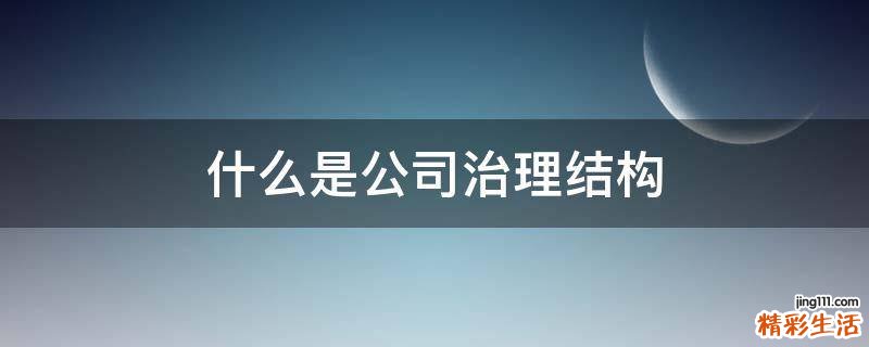 什么是公司治理结构