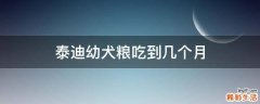 泰迪幼犬粮吃到几个月