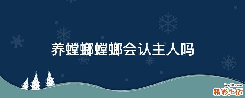 养螳螂螳螂会认主人吗