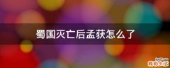 蜀国灭亡后孟获怎么了