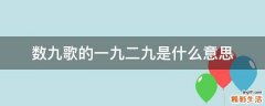 数九歌的一九二九是什么意思