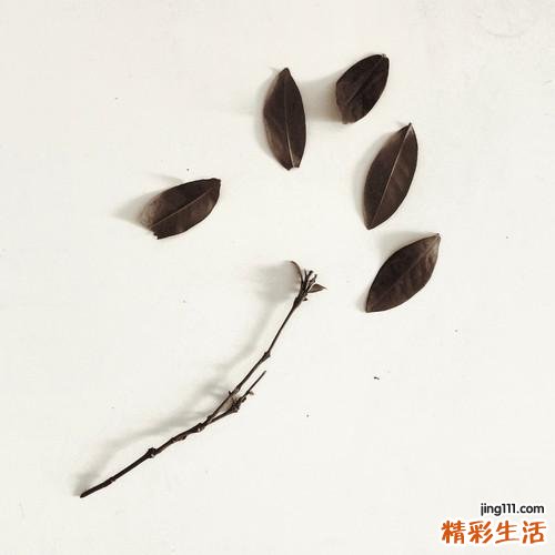 冬季如何养发_冬日护发选发膜