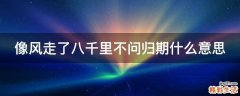 像风走了八千里不问归期什么意思