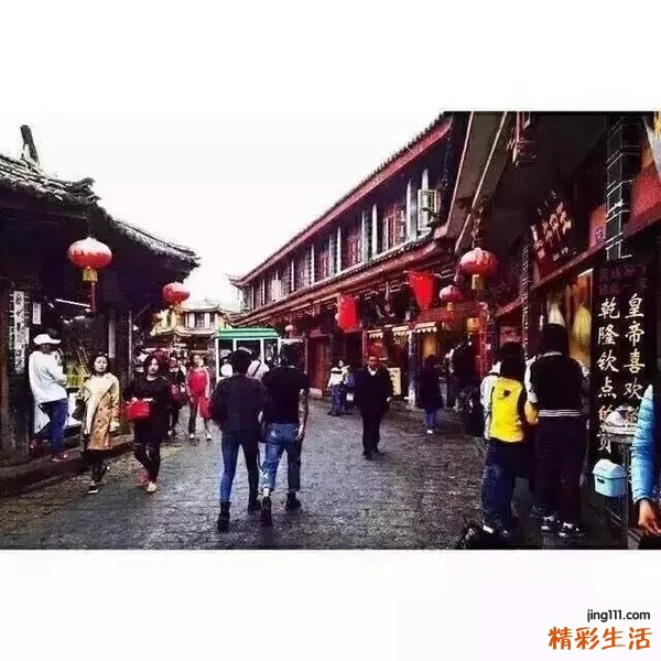 3 毛五加皮