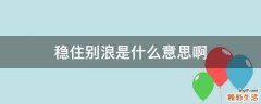 稳住别浪是什么意思啊