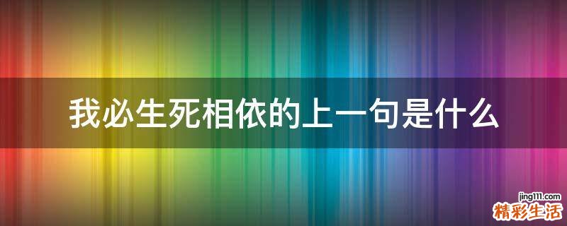 我必生死相依的上一句是什么