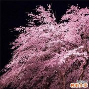 消化内科