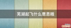芜湖起飞什么意思哦