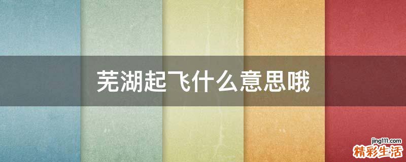 芜湖起飞什么意思哦