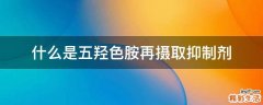 什么是五羟色胺再摄取抑制剂