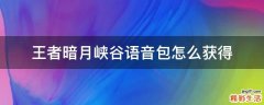 王者暗月峡谷语音包怎么获得