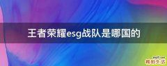 王者荣耀esg战队是哪国的