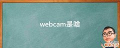 webcam是啥