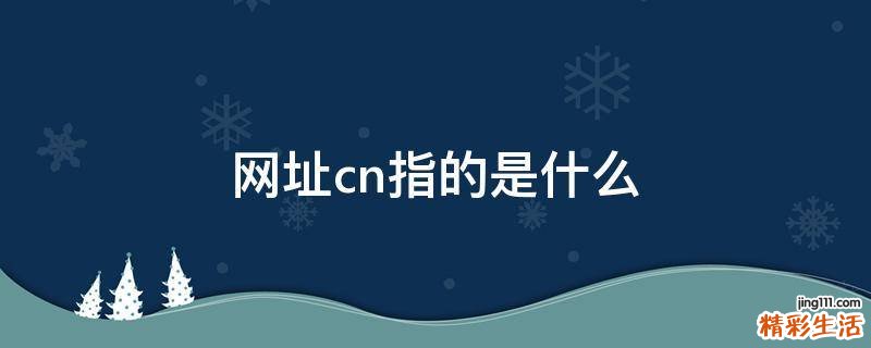网址cn指的是什么