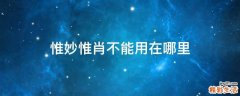惟妙惟肖不能用在哪里