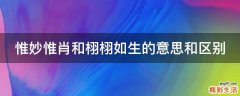 惟妙惟肖和栩栩如生的意思和区别