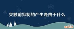 突触前抑制的产生是由于什么