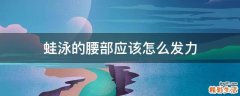 蛙泳的腰部应该怎么发力