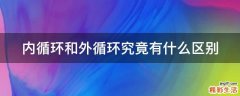内循环和外循环究竟有什么区别