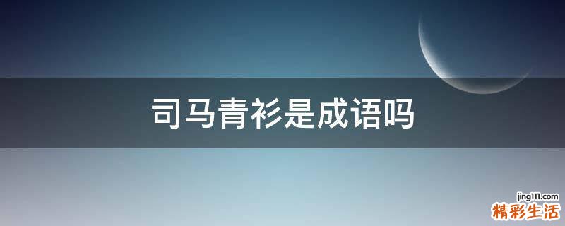 司马青衫是成语吗