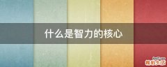 什么是智力的核心