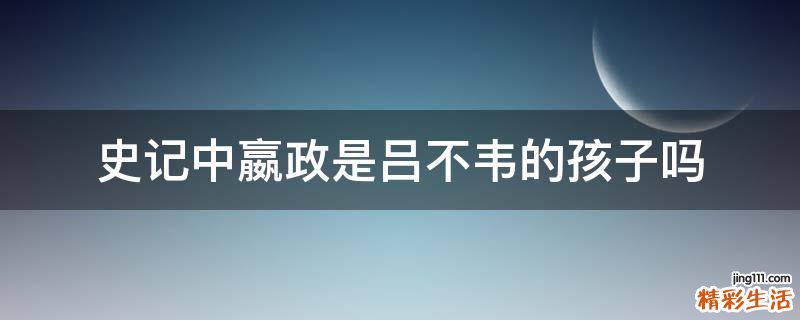 史记中嬴政是吕不韦的孩子吗